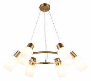 Подвесная люстра Omnilux Ales OML-69103-06 в Можге - mozhga.mebel24.online | фото 2