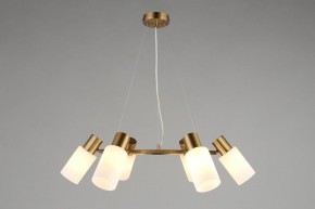 Подвесная люстра Omnilux Ales OML-69103-06 в Можге - mozhga.mebel24.online | фото 4