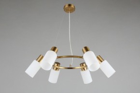 Подвесная люстра Omnilux Ales OML-69103-06 в Можге - mozhga.mebel24.online | фото 5