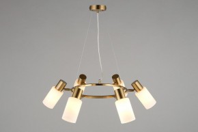 Подвесная люстра Omnilux Ales OML-69103-06 в Можге - mozhga.mebel24.online | фото 6