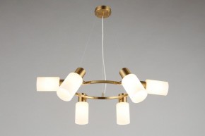 Подвесная люстра Omnilux Ales OML-69103-06 в Можге - mozhga.mebel24.online | фото 7
