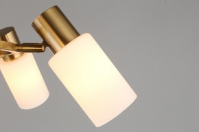 Подвесная люстра Omnilux Ales OML-69103-06 в Можге - mozhga.mebel24.online | фото 9