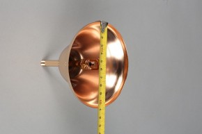 Подвесная люстра Omnilux Ausonia OML-68703-06 в Можге - mozhga.mebel24.online | фото 11