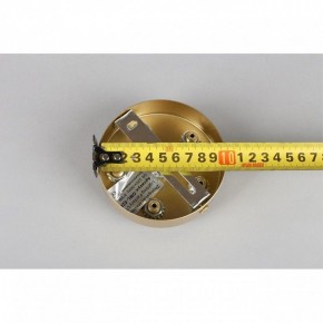 Подвесная люстра Omnilux Cavriglia OML-52803-08 в Можге - mozhga.mebel24.online | фото 13