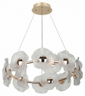 Подвесная люстра Rivoli Shannon Б0061947 в Можге - mozhga.mebel24.online | фото 4