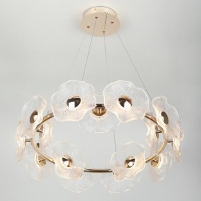Подвесная люстра Rivoli Shannon Б0061947 в Можге - mozhga.mebel24.online | фото 6