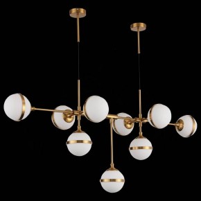 Подвесная люстра ST-Luce Arbe SL1157.303.09 в Можге - mozhga.mebel24.online | фото 4