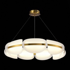 Подвесная люстра ST-Luce Etoile SL1304.203.56 в Можге - mozhga.mebel24.online | фото 4