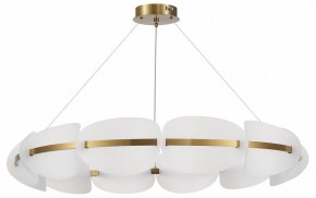 Подвесная люстра ST-Luce Etoile SL1304.203.65 в Можге - mozhga.mebel24.online | фото 3