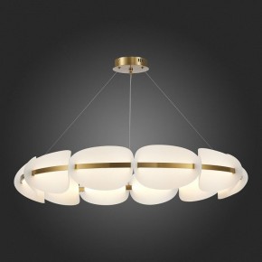 Подвесная люстра ST-Luce Etoile SL1304.203.65 в Можге - mozhga.mebel24.online | фото 5