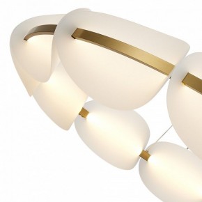 Подвесная люстра ST-Luce Etoile SL1304.203.65 в Можге - mozhga.mebel24.online | фото 6