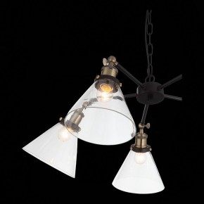 Подвесная люстра ST-Luce Evoluto SL237.413.05 в Можге - mozhga.mebel24.online | фото 7