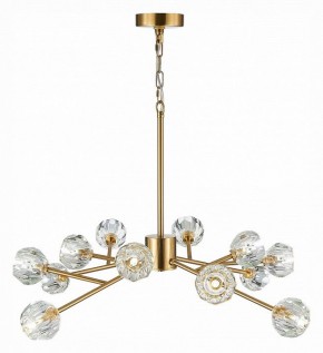 Подвесная люстра ST-Luce Romano SL1166.303.12 в Можге - mozhga.mebel24.online | фото 6