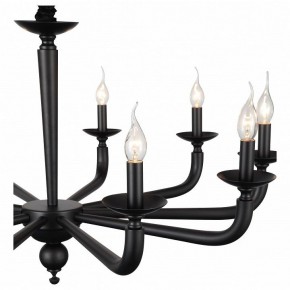 Подвесная люстра ST-Luce SL1114 SL1114.403.10 в Можге - mozhga.mebel24.online | фото 4