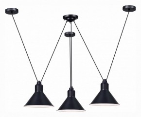 Подвесная люстра ST-Luce Svevo SL1804.403.03 в Можге - mozhga.mebel24.online | фото 2