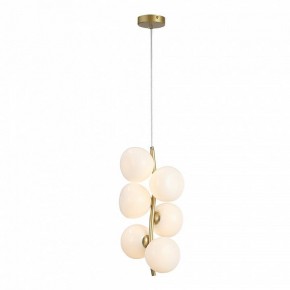 Подвесная люстра ST-Luce Sweven SL1519.303.06 в Можге - mozhga.mebel24.online | фото 4