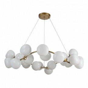 Подвесная люстра ST-Luce Sweven SL1519.303.24 в Можге - mozhga.mebel24.online | фото 2