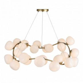 Подвесная люстра ST-Luce Sweven SL1519.303.24 в Можге - mozhga.mebel24.online | фото 4