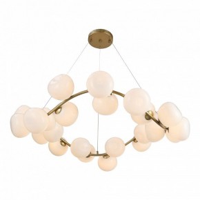 Подвесная люстра ST-Luce Sweven SL1519.303.24 в Можге - mozhga.mebel24.online | фото 6