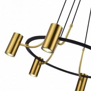 Подвесная люстра ST-Luce Talia SL1215.403.06 в Можге - mozhga.mebel24.online | фото 6