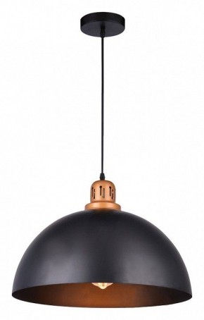 Подвесной светильник Arte Lamp Eurica A4249SP-1BK в Можге - mozhga.mebel24.online | фото 2