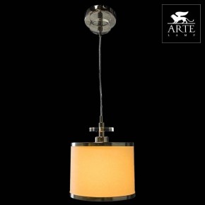 Подвесной светильник Arte Lamp Furore A3990SP-1CC в Можге - mozhga.mebel24.online | фото 3