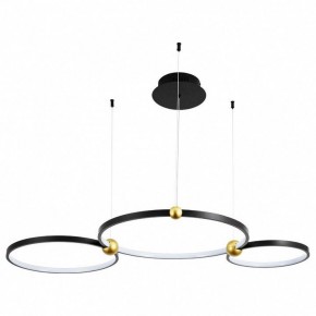 Подвесной светильник Divinare Amadeo 1123/04 SP-75 в Можге - mozhga.mebel24.online | фото