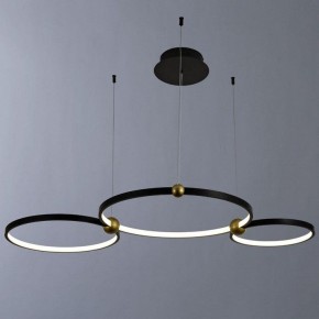 Подвесной светильник Divinare Amadeo 1123/04 SP-75 в Можге - mozhga.mebel24.online | фото 2