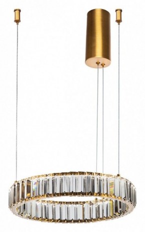 Подвесной светильник Divinare Renata 1135/17 SP-25 в Можге - mozhga.mebel24.online | фото 2
