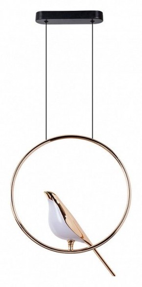 Подвесной светильник Divinare Summer 1188/01 SP-9 в Можге - mozhga.mebel24.online | фото 2