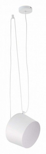Подвесной светильник EVOLUCE Trieste SLE120653-01 в Можге - mozhga.mebel24.online | фото 2