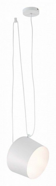 Подвесной светильник EVOLUCE Trieste SLE120653-01 в Можге - mozhga.mebel24.online | фото 3