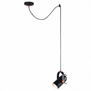 Подвесной светильник Favourite Ampolla 2007-1P в Можге - mozhga.mebel24.online | фото 3