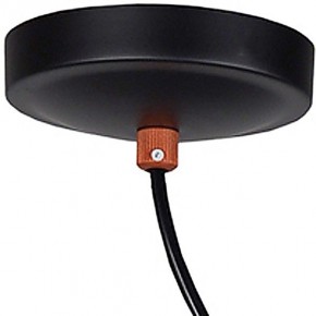 Подвесной светильник Favourite Ampolla 2007-1P в Можге - mozhga.mebel24.online | фото 4