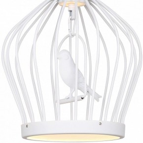 Подвесной светильник Favourite Chick 1931-2P в Можге - mozhga.mebel24.online | фото 3