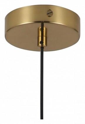 Подвесной светильник Favourite Copita 2777-1P в Можге - mozhga.mebel24.online | фото 5