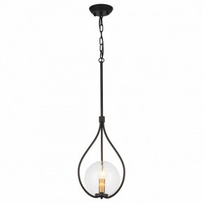 Подвесной светильник Favourite Kessel 1905-1P в Можге - mozhga.mebel24.online | фото 2