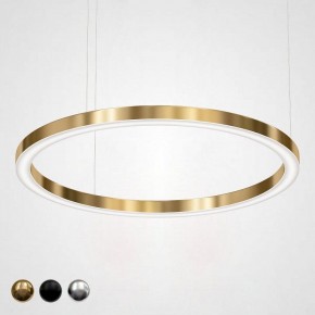 Подвесной светильник Imperiumloft Light Ring Horizontal 40.1454-120 в Можге - mozhga.mebel24.online | фото