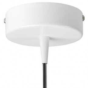 Подвесной светильник Lightstar Conicita 804110 в Можге - mozhga.mebel24.online | фото 6