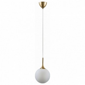 Подвесной светильник Lightstar Globo 813022 в Можге - mozhga.mebel24.online | фото 2