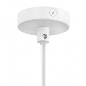 Подвесной светильник Lightstar Loft 765026 в Можге - mozhga.mebel24.online | фото 3