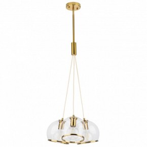 Подвесной светильник Lightstar Sferico 729031 в Можге - mozhga.mebel24.online | фото 2