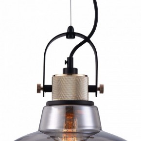 Подвесной светильник Maytoni Irving T163PL-01C в Можге - mozhga.mebel24.online | фото 9