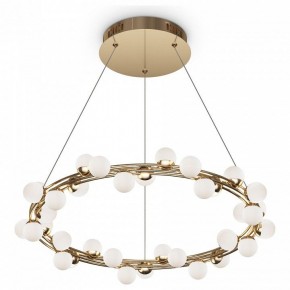 Подвесной светильник Maytoni Tessara MOD081PL-L50G3K в Можге - mozhga.mebel24.online | фото 2