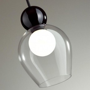 Подвесной светильник Odeon Light Blacky 2 5023/1 в Можге - mozhga.mebel24.online | фото 6