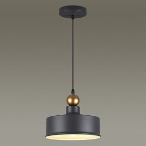 Подвесной светильник Odeon Light Bolli 4088/1 в Можге - mozhga.mebel24.online | фото 4