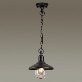 Подвесной светильник Odeon Light Campa 4965/1 в Можге - mozhga.mebel24.online | фото 2