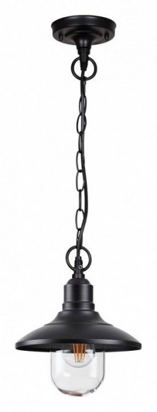 Подвесной светильник Odeon Light Campa 4965/1 в Можге - mozhga.mebel24.online | фото 3