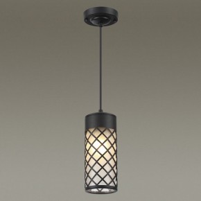 Подвесной светильник Odeon Light Dunes 4834/1 в Можге - mozhga.mebel24.online | фото 3