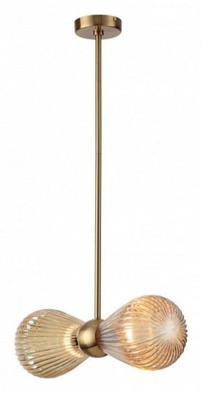 Подвесной светильник Odeon Light Elica 5402/2 в Можге - mozhga.mebel24.online | фото 2